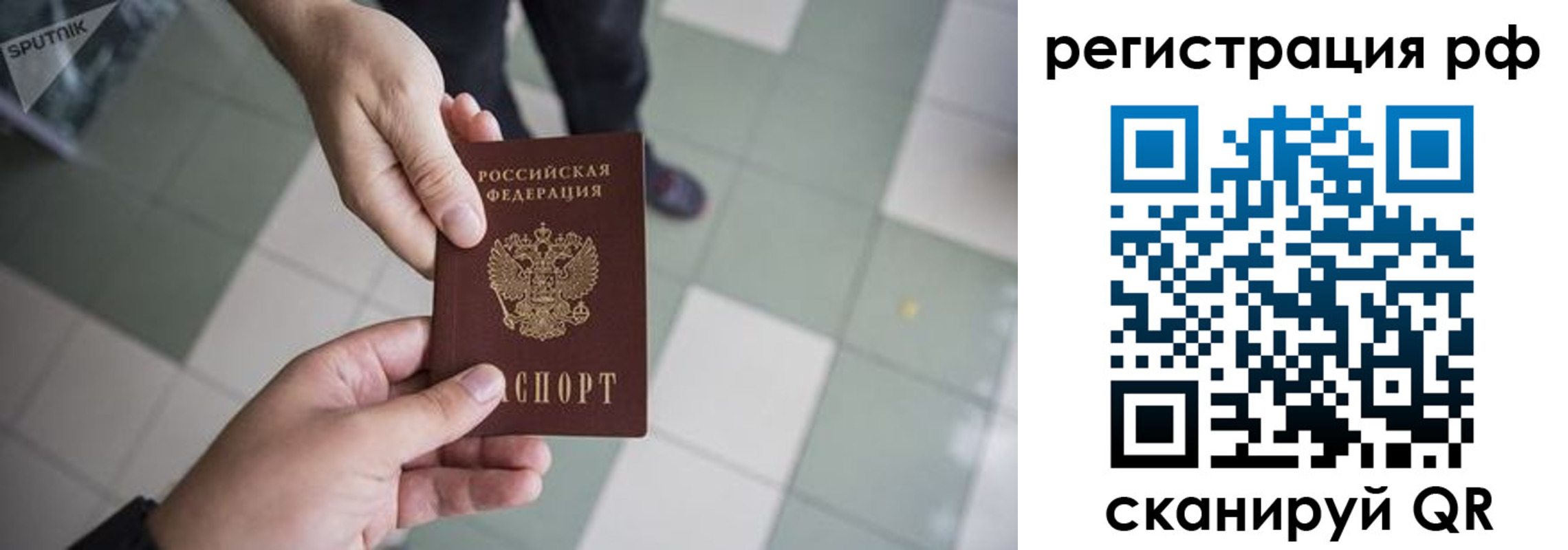 прописка гарантия в Вологодской области
